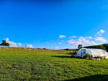 A sunny day on site