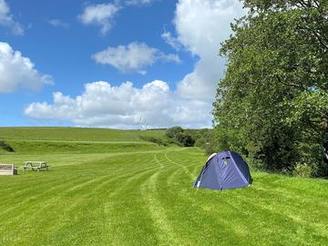 Visitor image of their tent pitch