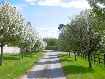 Park farm