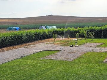 Rural views from the pitches
