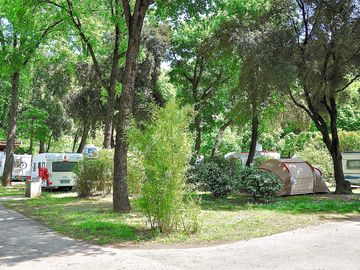 Pitches sheltered by trees