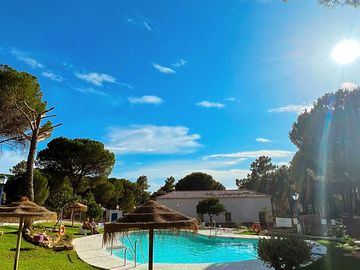 Landscaped pool