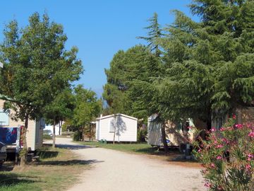 Wide paths through the site