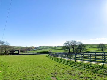 View of the field