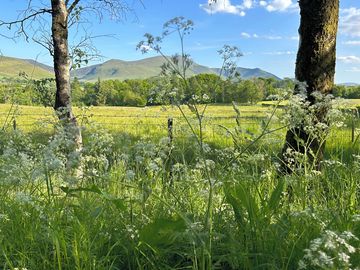 View of Skiddaw