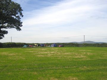 Spacious grass pitches