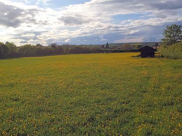 Countryside views
