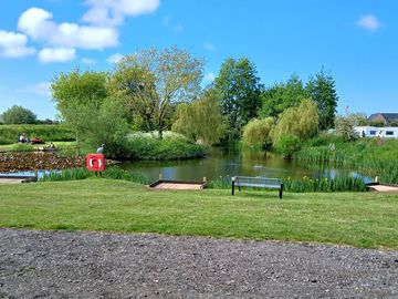 This pitch is close to the bar and even closer to one of the fishing ponds.