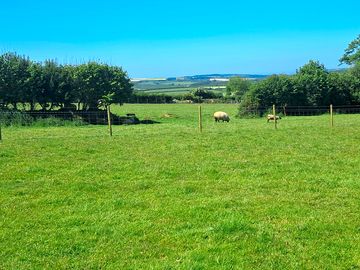 View from the site