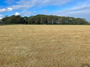 Flat and well-maintained land