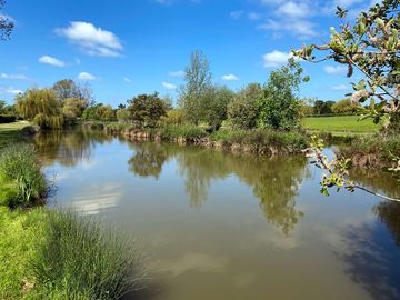 Well-stocked fishing lake