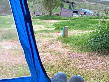 View of the alpaca paddocks from poppy's pitch
