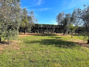 Piazzola senza corrente