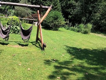 Pitches next to the hammock