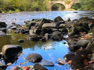 Rocks in the ayr river