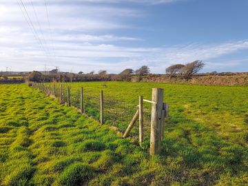 Top field