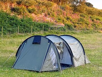 Spacious open pitches