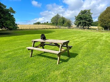 Picnic table