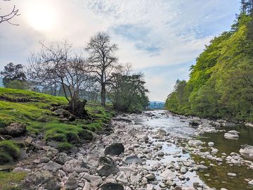 The River South Tyne