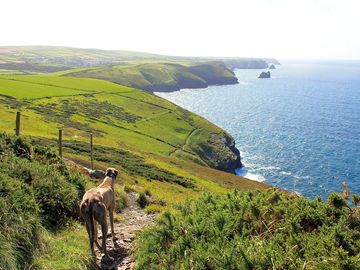 Coast path towards boscastle