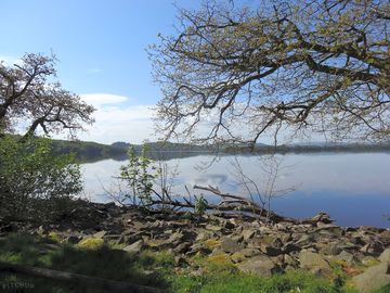 View from the site