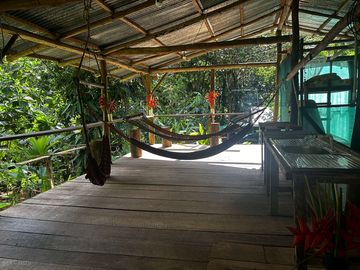 Hammocks