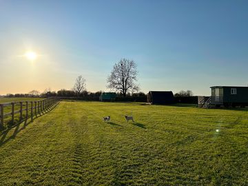 Pitches alongside the fence line