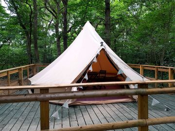 Bell tent surrounded by trees