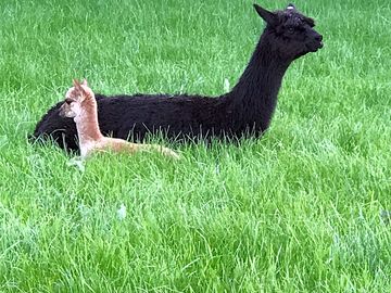 Mother and baby