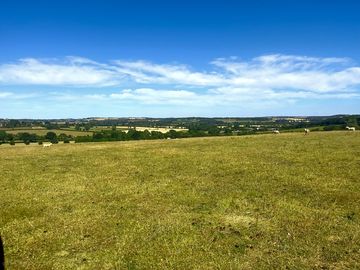View from the pitches