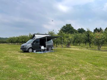 Level grass pitch in the orchard