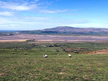 View of black combe