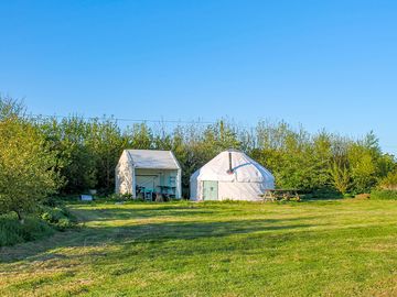 Each yurt surrounded by young woodland