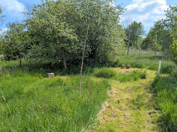 Pitch 7