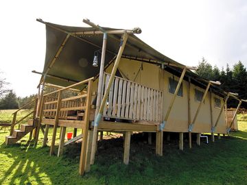 Side view