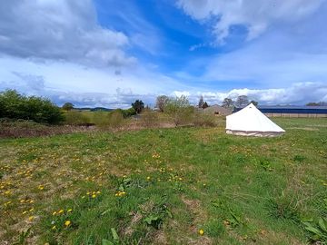 The bell tent overlooking the pond and site