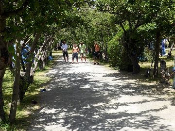 Pétanque court