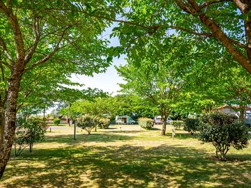 Allées arborées du camping ATC Routes du Monde à Arcachon La Hume © Marine Monteils
