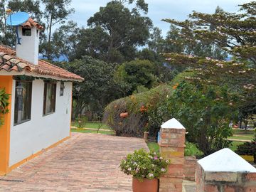 Colonial-style buildings