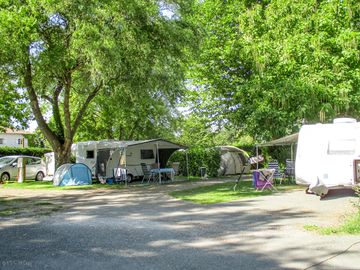 Pitches under the trees