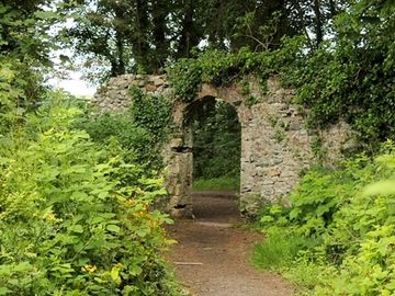 Local walks