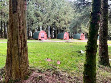 The pods