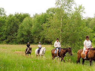 Pony rides nearby