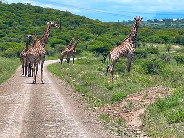 Great game viewing
