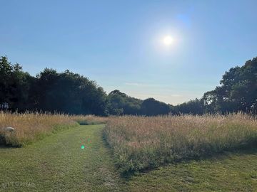 Meadow views
