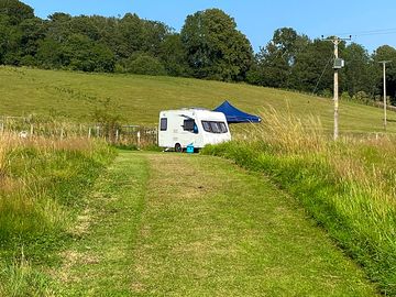 Dog walk area with regularly trimmed grass