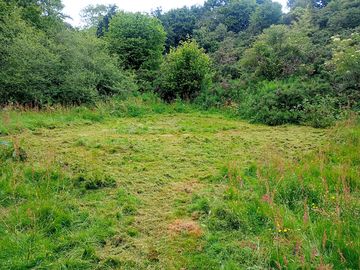 Neatly mown pitch