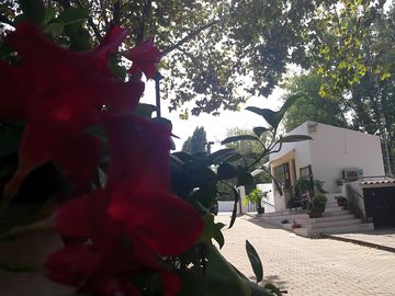 Around the site