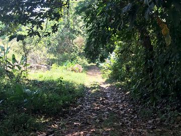 The track towards site