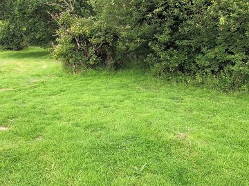 Grass pitches